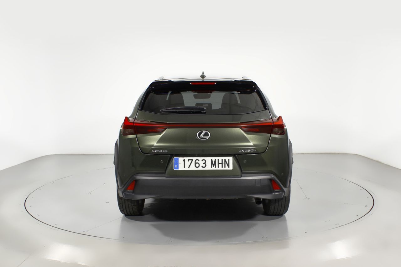 Foto Lexus UX 17