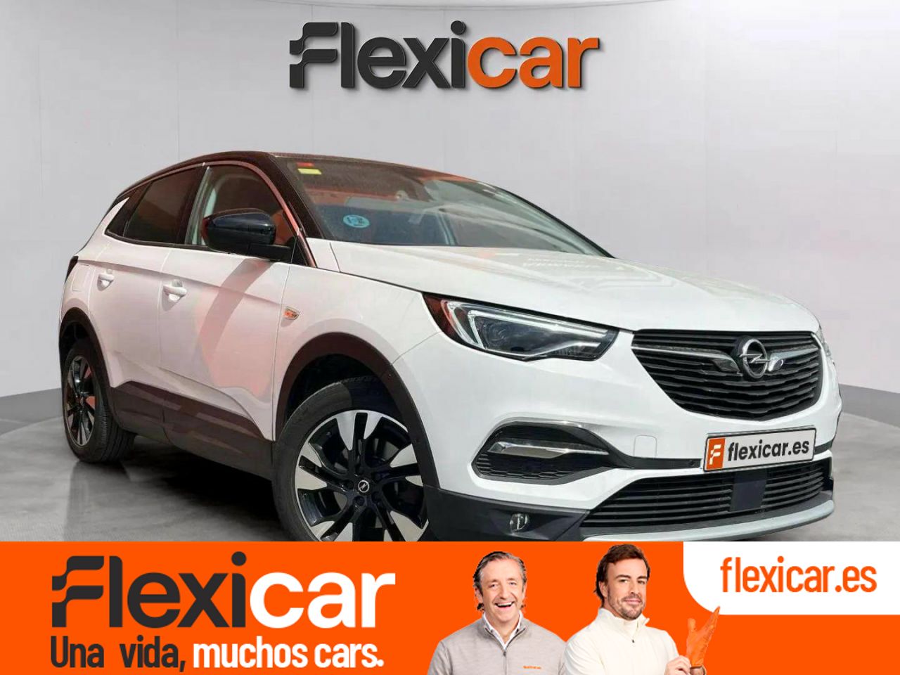 Foto Opel Grandland X 1