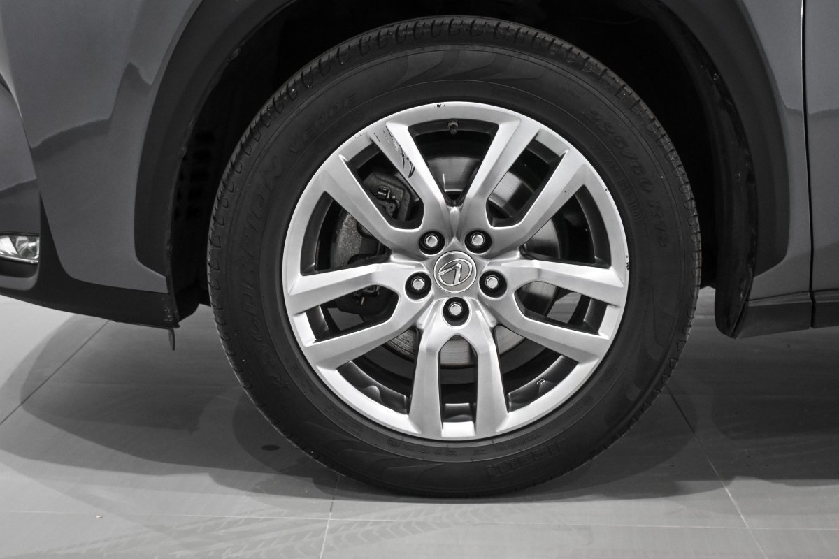 Foto Lexus NX 32