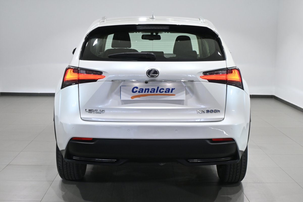 Foto Lexus NX 5