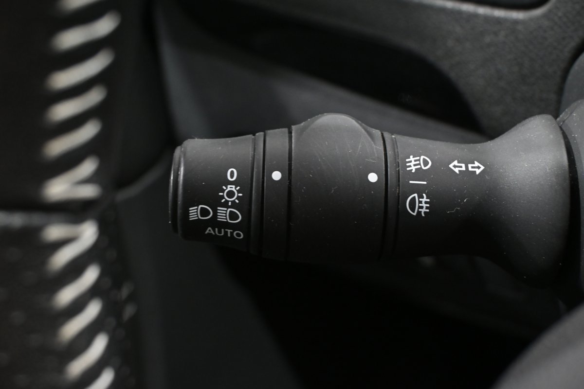 Foto Renault Grand Scénic 21