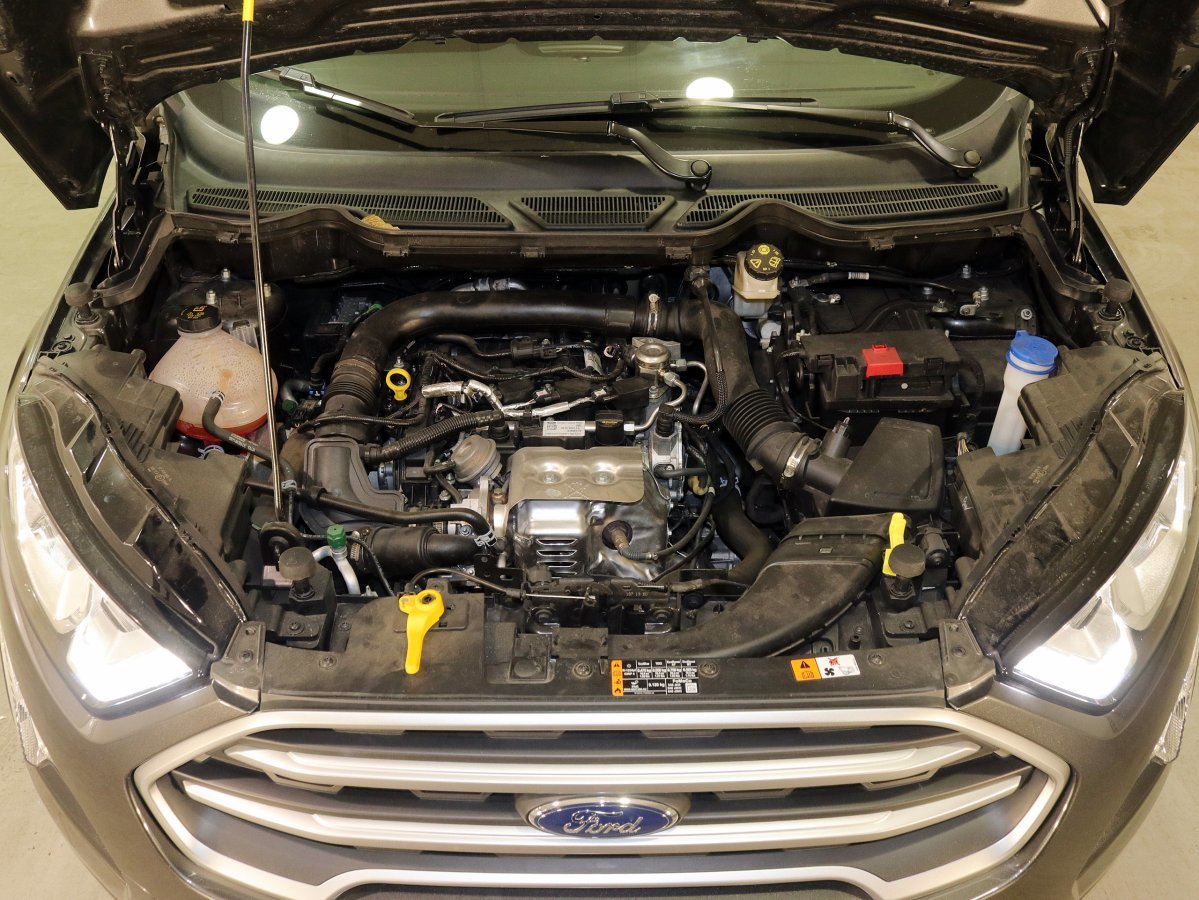 Foto Ford Ecosport 7