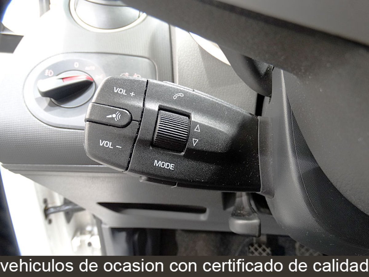 Foto Seat Ibiza 19